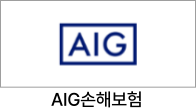 AIG손해보험 임대인화재보험