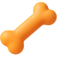 고양이보험 추천