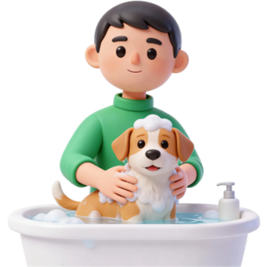 고양이보험 가격