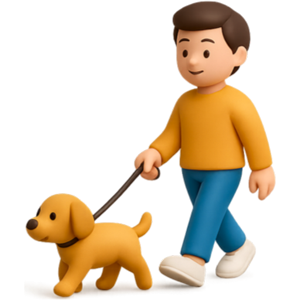 일상생활책임보험