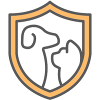 고양이보험 비교